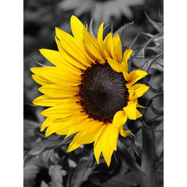 Graue Serie von Pflanzenblumen, dekoratives Gemälde, Sonnenblumen-Ölgemälde, Poster, Sofa, Wandhintergrund, Kunst, Leinwand, hängendes Gemälde