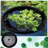 Pond Plant Protection Net - Floating Barrier for Fish, Flowers, and Plants