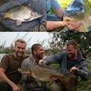 Colorful Worm Bait, PP Plastic, Floating Fish Lure, for Carp Fishing, Multi-Scent, Insect Shape, Fishing Tackle, Outdoor Sport,