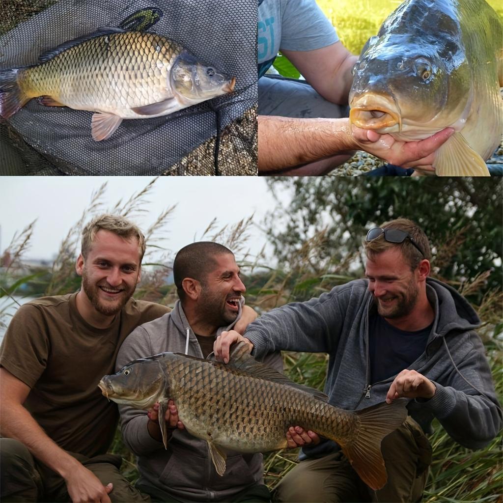 Colorful Worm Bait, PP Plastic, Floating Fish Lure, for Carp Fishing, Multi-Scent, Insect Shape, Fishing Tackle, Outdoor Sport,
