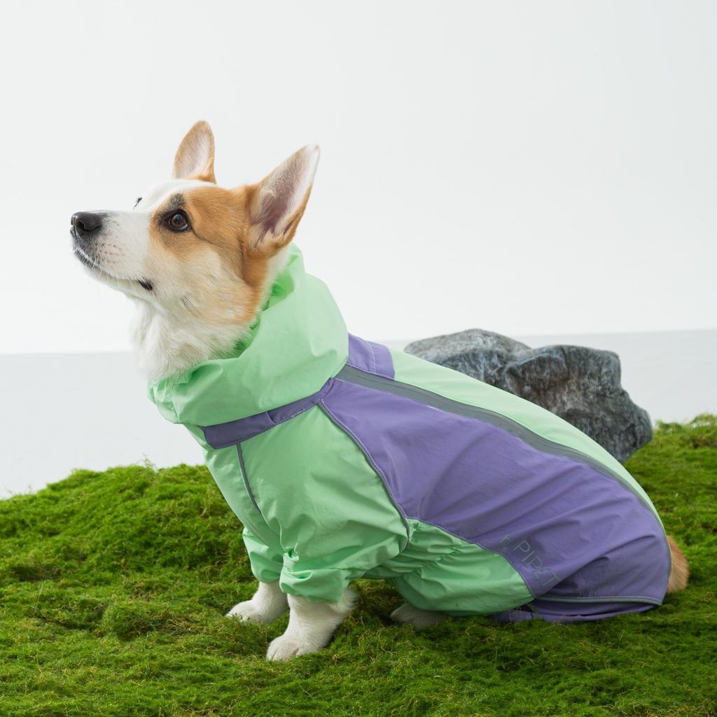 25 år gammal ny corgi regnjacka sommar vattentät och regntät utomhus fuktsäker vatten medium och liten hund hund husdjurshundkläder
