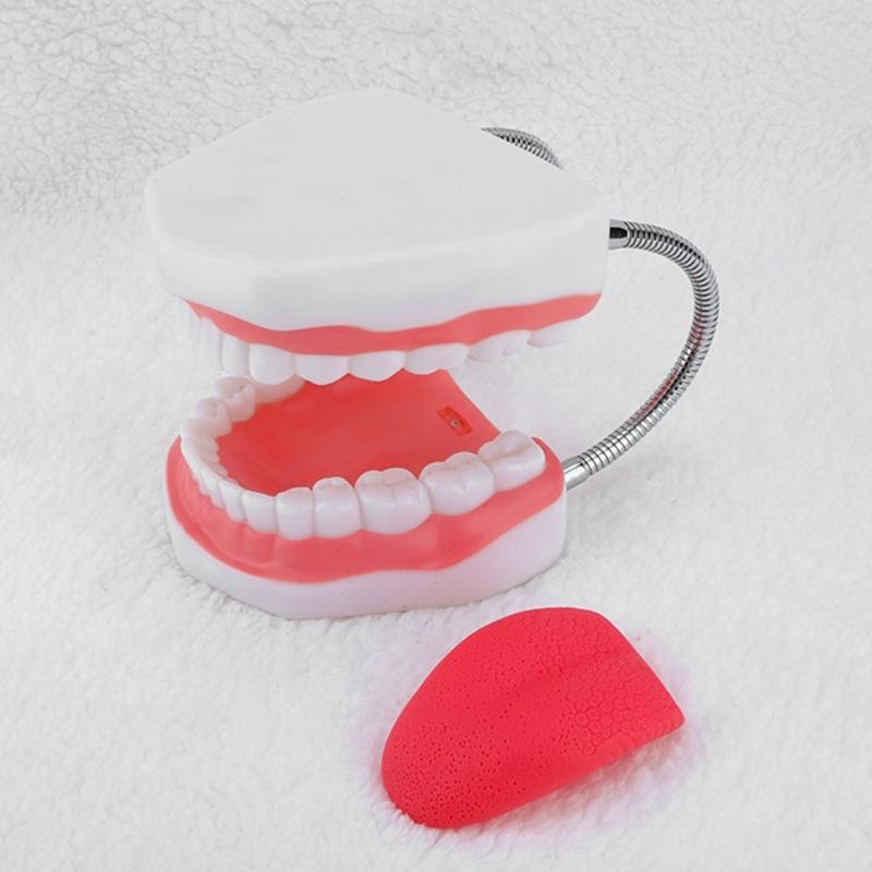 Human Teeth Model with Removable Tongue Enlarged Teeth Tongue Anatomical Model Educational Teaching Aids