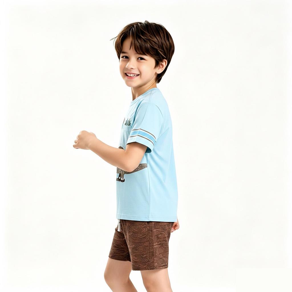 Boys' Casual T-Shirt Set Summer Outfit 2-Piece for Daily Wear