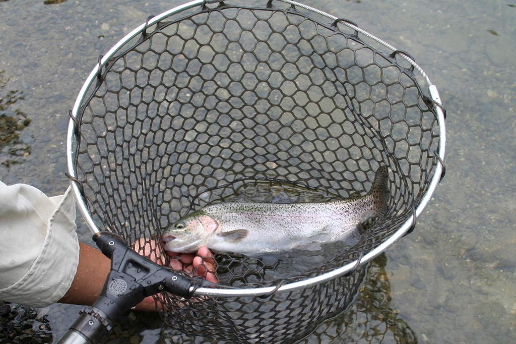 Daiichi Seiko Landing Net Auto King Frame Gunmetal Landing Net Fishing 48-160R