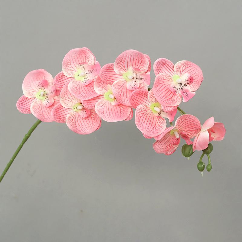 69Cm 3D New Artificial Phalaenopsis Flower Branches Real Touch Faux Butterfly Orchid Stems Floral Arrangement Wedding Home Decor