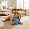 Squeaky Dog Flying Disc Bite-Resistant Rope Dog Toy Teeth Grinding Dog Chew Toy  Exercise