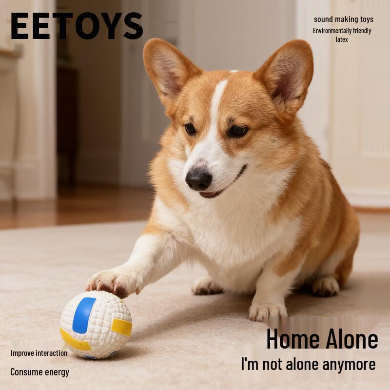 EETOYS Squeaky Interactive Dog Chew Toys