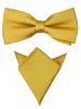 Bow Ties For Men Pre-tied Butterfly Knot Bowtie Hanky Set Solid Color Bow Tie Handkerchief For Adult Male Wedding Gift