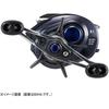 Daiwa Bait Reel 23 Saltist Tw Pe sPecial Tw100xhl