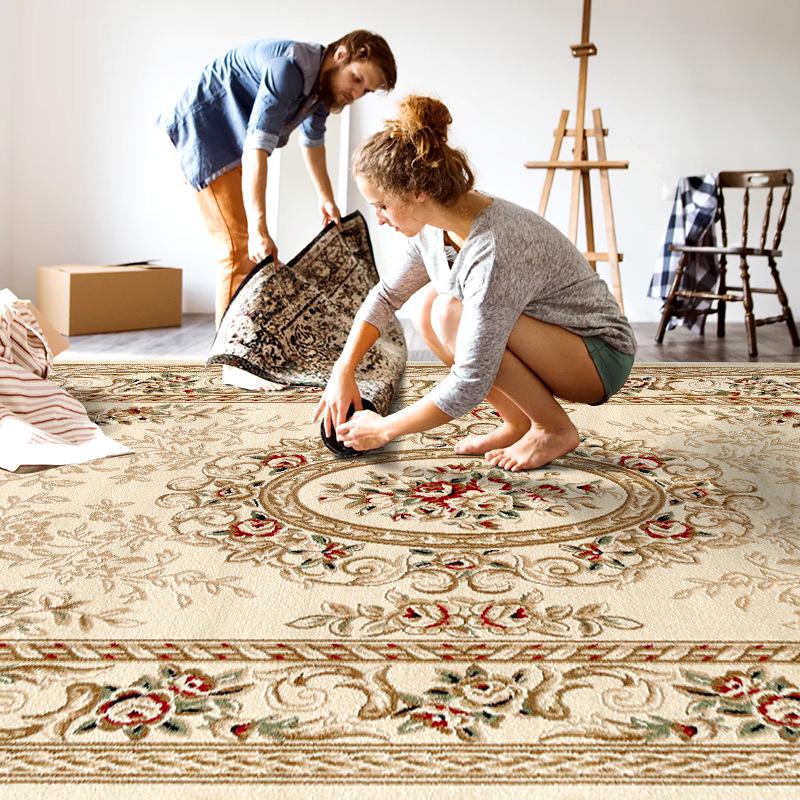 Nordic-Style Persian Ethnic Area Rug for Living Room: Soft Sofa & Coffee Table Pad