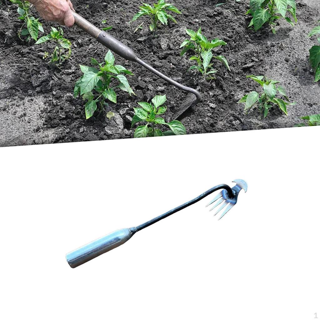 Stainless Steel Weeder for Lawn And Garden Maintenance