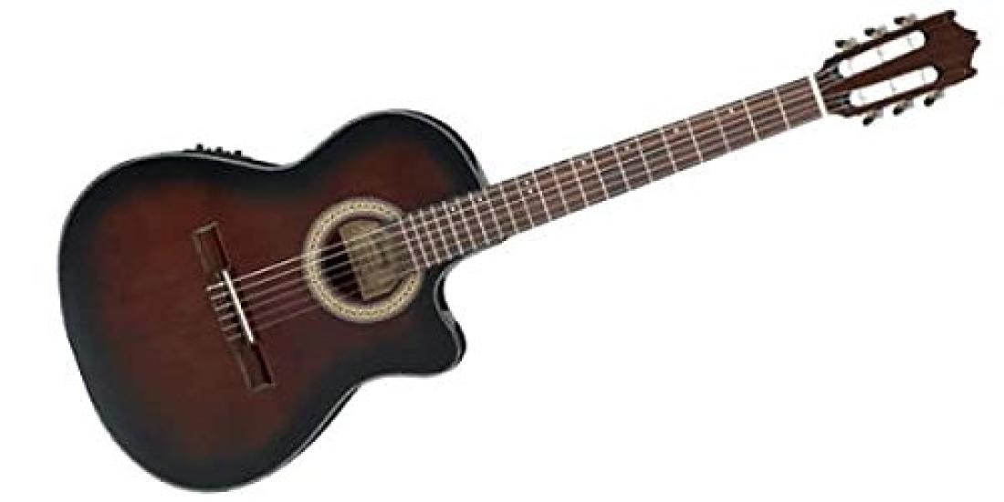

IBANEZ Electric Gut Guitar [] (Elegat) GA30TCE-DVS