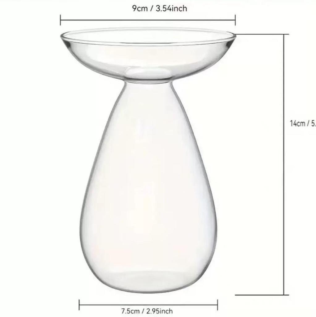High Borosilicate Avocado Hydroponic Vase for Pit Seed Cultivation