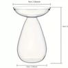 High Borosilicate Avocado Hydroponic Vase for Pit Seed Cultivation