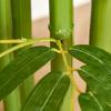Artificial Plant, Plastic Bamboo In Pot, 780 Leaves, Realistic Look, Minimal Maintenance, 140 Cm, Green