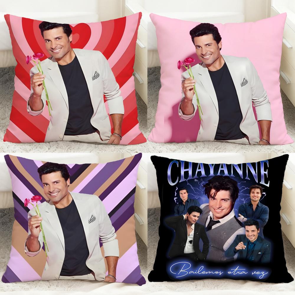 Fashion C-CChayanne Cushion Cover Comfortable Reversible Pillow Cover Ideal for Car Sofa Bedroom & Beyond