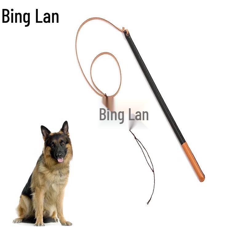 Dog Training Clicker Whip