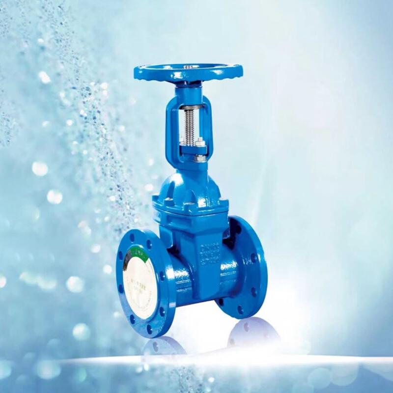 Tiemuyun Rising Stem Soft Seal Gate Valve