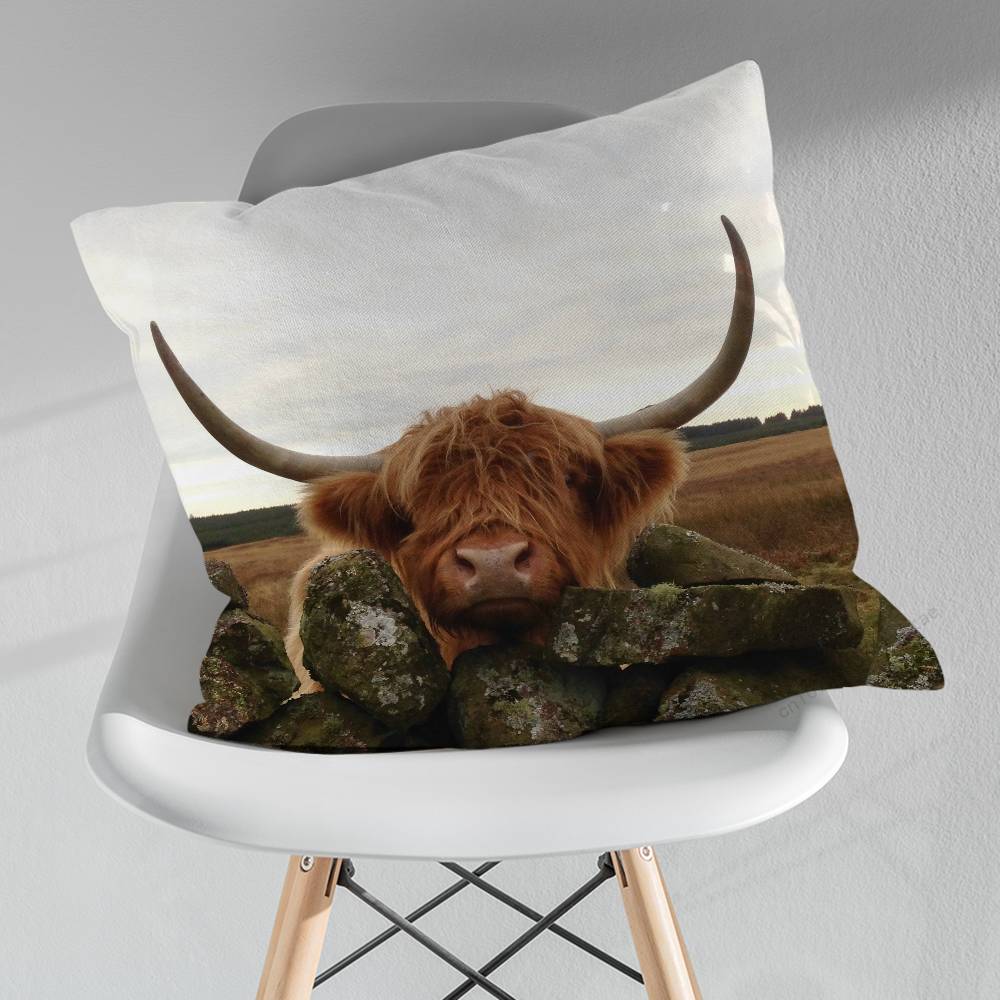 Cute Small Highland Cow Various Sizes Square Pillow Case For Car Home Bedchamber Decor Birthday Gift