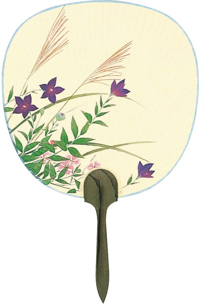 Shiomi Uchiwa Made in Miyako no Kaze 24cm x 37cm Fan, Japan, (Autumn Grass) 2721,