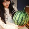 Adorable 3D Watermelon Plush Sofa Pillow Reallife Fruits Cushion Simulation Watermelon Stuffed Soft Pillow Home Decor Gift