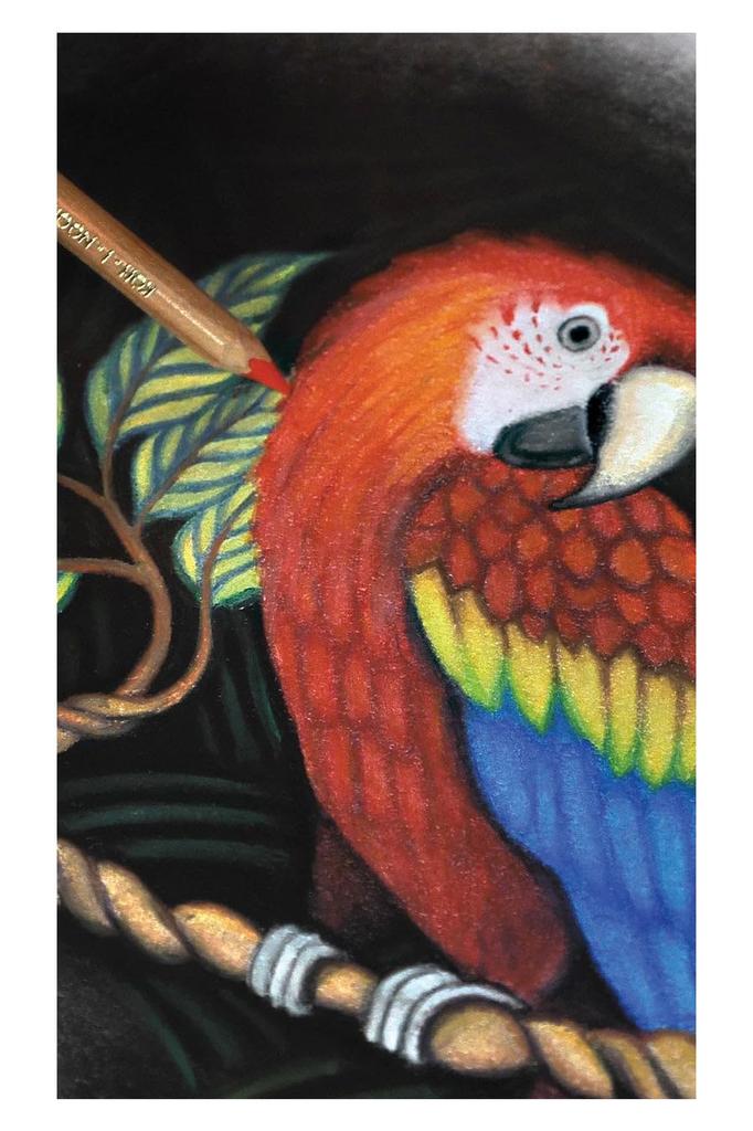 Artist Colored Pencil Set 3827 72 In 72 In SET 3827072001PL KOH-I-NOOR