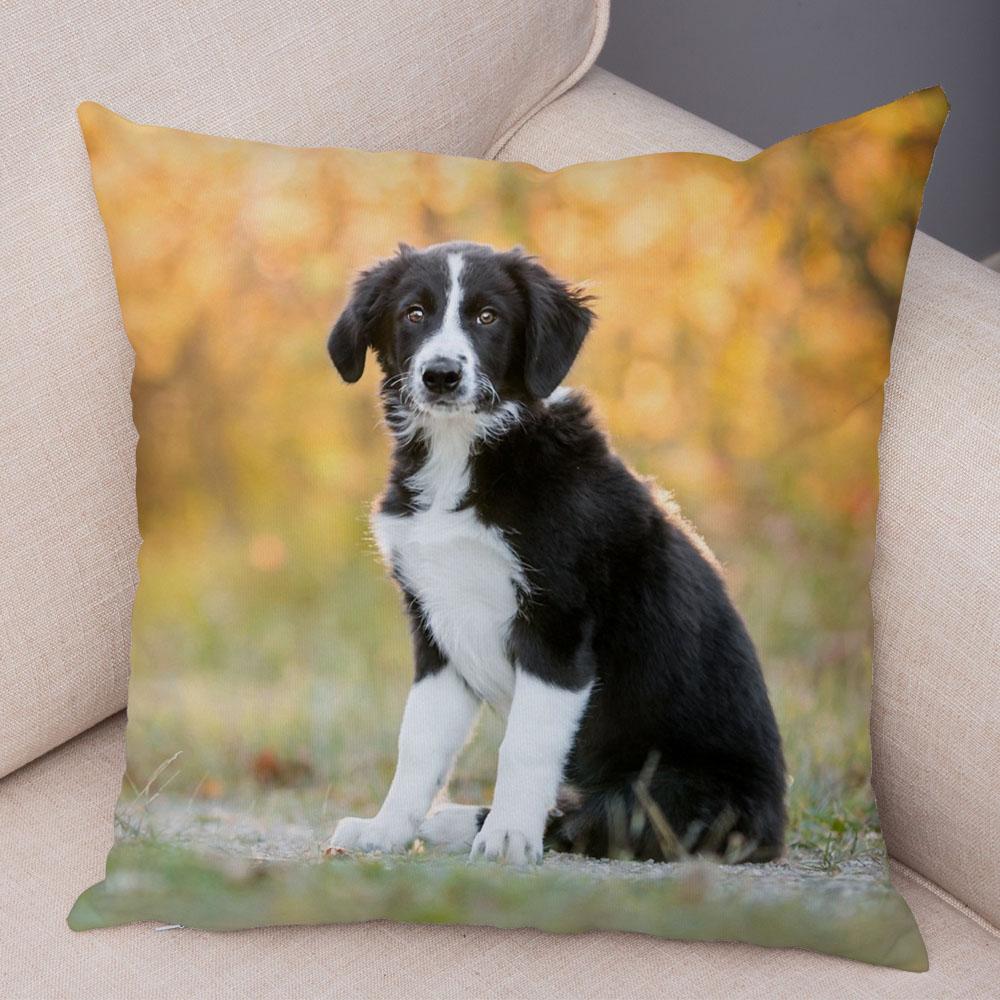 Cute Pet Animal Dog Print Pillowcase Scottish Border Collie Cushion Cover  Sofa Car Decoration