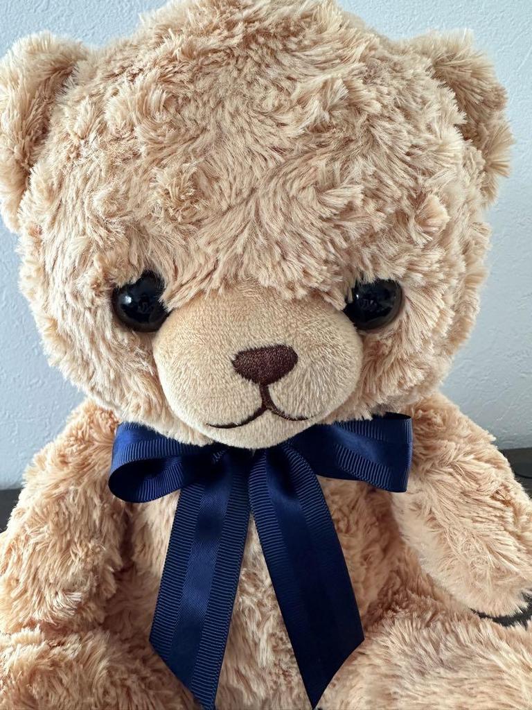 [USED] My Rose Bear YELL Teddy Bear Plush Toy 30cm