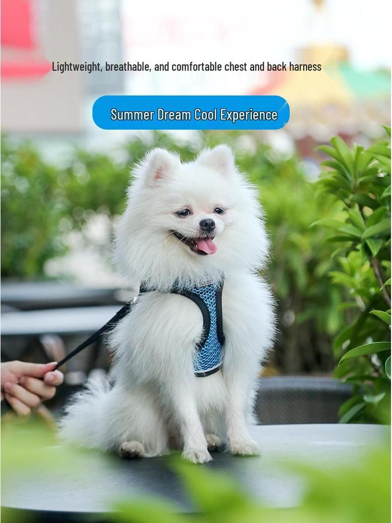 Reflective Comfort Vest Harness with Leash for Small To Medium Dogs