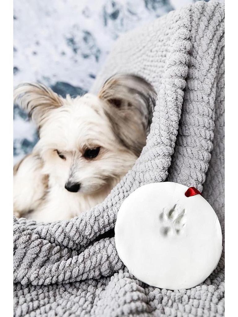 Pet Paw Print Ink Pad: Commemorative Birthday Gift for Cat and Dog Footprints
