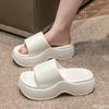 Fashion New Women's Wear Resistant Thick Bottom Soft Summer Outerwear Anti Slip Height Boosting Home Trendy Cool Slippers Simple Zapatos