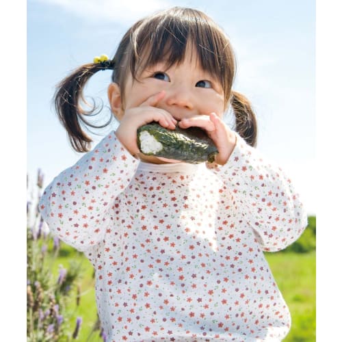 Ernest Bento Nori Onigiri (Crispy Seaweed Rice Balls) A-76712