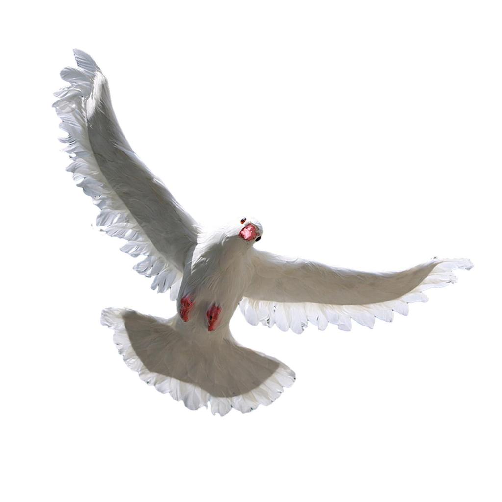 Duif Standbeeld Dierlijk Beeldje Creatief Levendig Duif Beeld Tuinbeelden voor Achtertuin Hal Bruiloftsthema Feest Buiten
