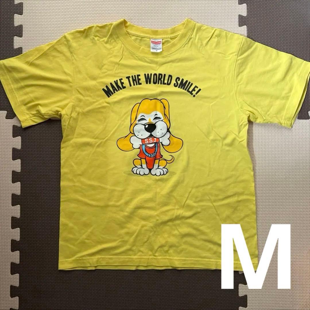 [USED] Saeko NASU FARM VILLAGE T-shirt XL