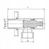 Angle Valve with Ceramic Head 1/2*3/4 Ellipse