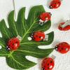 Ensemble de 10 pièces de pinces à cheveux tendance et mignonnes abeille coccinelle transfrontalières mini accessoires épingles à cheveux pour étudiants en gros amusant
