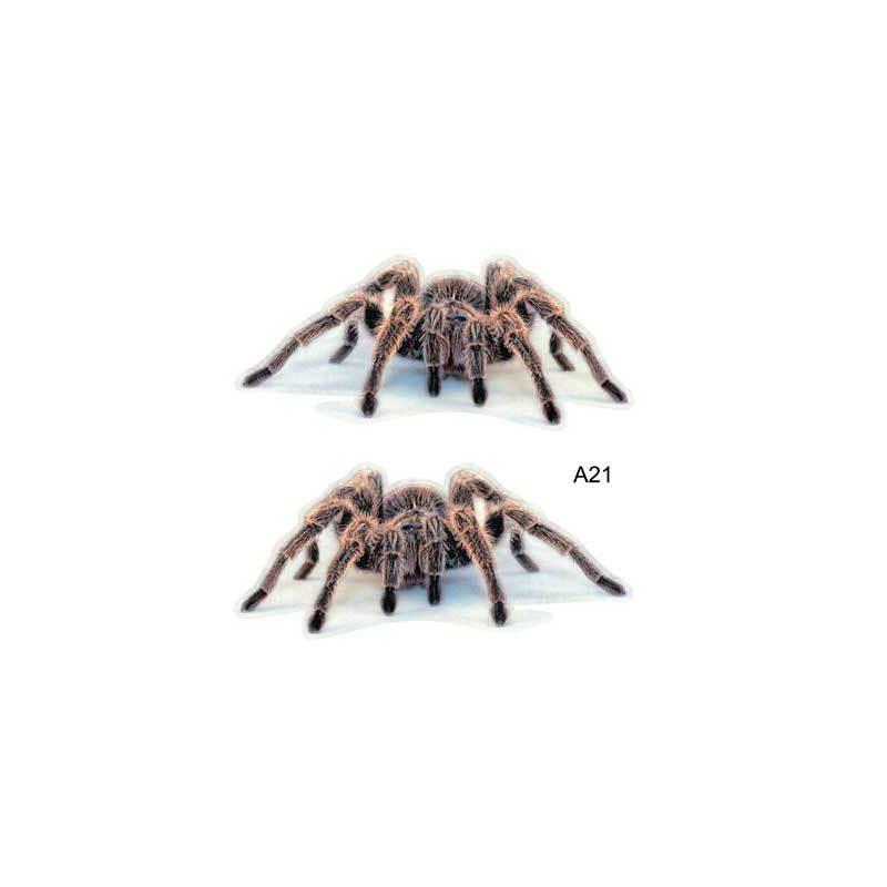 3D Spin Hagedis Schorpioen Autosticker Waterdicht PVC Autostyling Autosticker Autokap Dierenstickers Autodecoratie