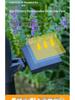 Solar Pathway Lights: Outdoor Garden Atmosphere Lights