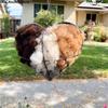 Handmade Alpaca Fiber Bird Nesting Heart Heart Shape Cotton Wool Winter Bird Tree Shelter Refillable Weather-Resistant