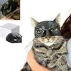 1× Plastic Bat Mask for Cats for Halloween Cosplay