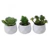 Artificial Succulents Decorative Flower Pot Easy Maintenance