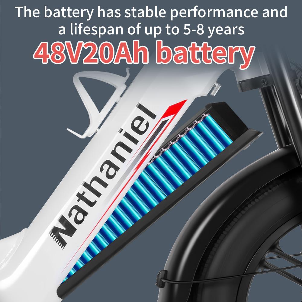 Nathaniel SYR08 City Commuting E-Bike, Doppelmotor 2000W, 20x4.0 Integriertes Rad, 48V20AH, Geschwindigkeit 50+, Schnee/Sand Outdoor-Fahrrad