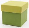Dutch Kyo-yaki/Kiyomizu-yaki hand-painted salt container with cloisonné TG-011D