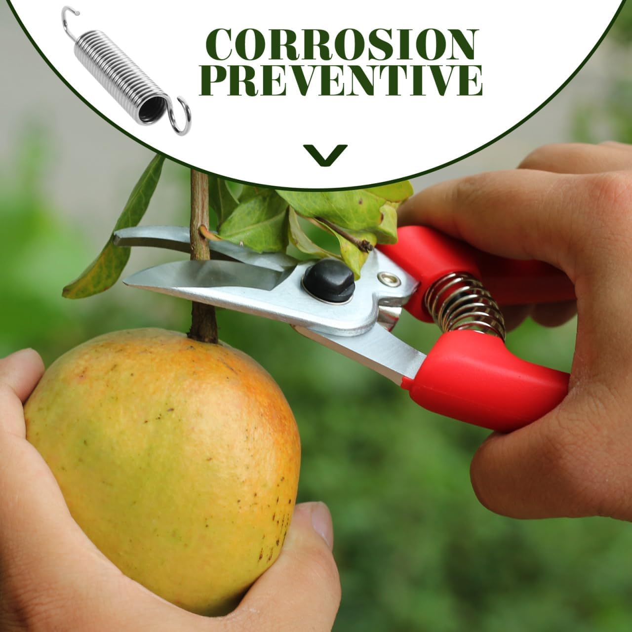 

10pcs Stainless Steel Replacement Springs for Pruning Shears Easy to Install Trimming Springs for Gardening Tools Durable Pruner Parts for Scissors