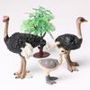 Simulation Figurines Animals Model Action Figures Collection Toys Ostrich Teaching Animal Model Photography Prop Crafts 3pc/set