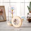 Glass cover gold foil rose ornament creative mother Valentine's Day gift simulation flower eternal flower Yiwu