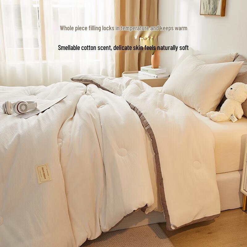 HAYLAN HOME Washable Xinjiang Cotton Winter Quilt