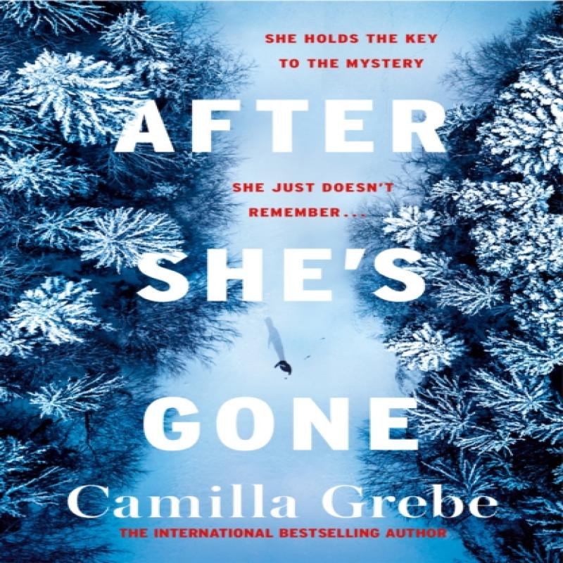 After Shes Gone by Camilla Grebe Paperback Book 9781785764738