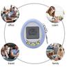 Vintage 168 Pets in One LCD Display Electronic Digital Pet Game Console Keychain Machine Toys Newest Virtual Digital