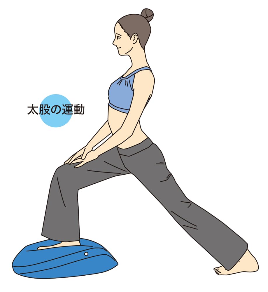 Hata Sports Equipment Industry Balance Disc Big DK800